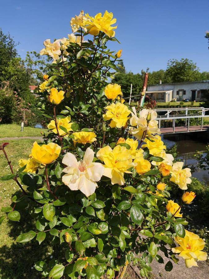 Le Cottage Des Hortillonnages 아미앵 외부 사진